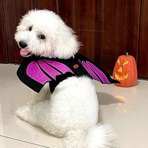 Dog Cat Costumes with Pumpkin Led Light Bat Wings Glitter Purple Halloween Lrg